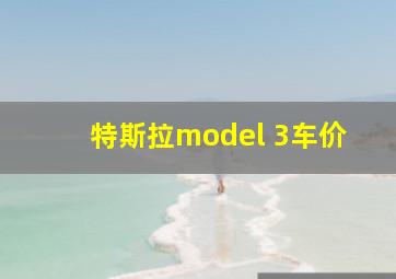 特斯拉model 3车价